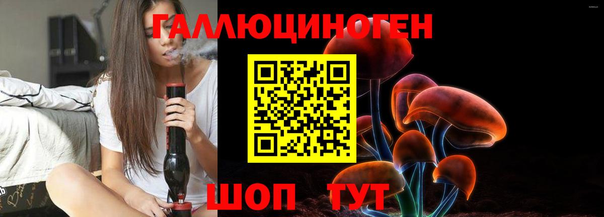 Псилоцибиновые грибы GOLDEN TEACHER Кизляр